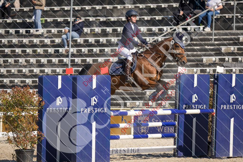 IMG_3756 | Sport-, Event- und Tierfotos in Profiqualität. Einfach auswählen, bestellen und herunterladen. Dein Moment – perfekt festgehalten.