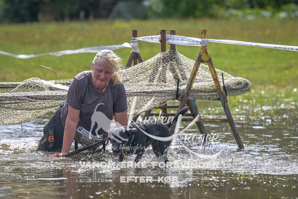 1329_ZZ91403 | kk-dogfotos