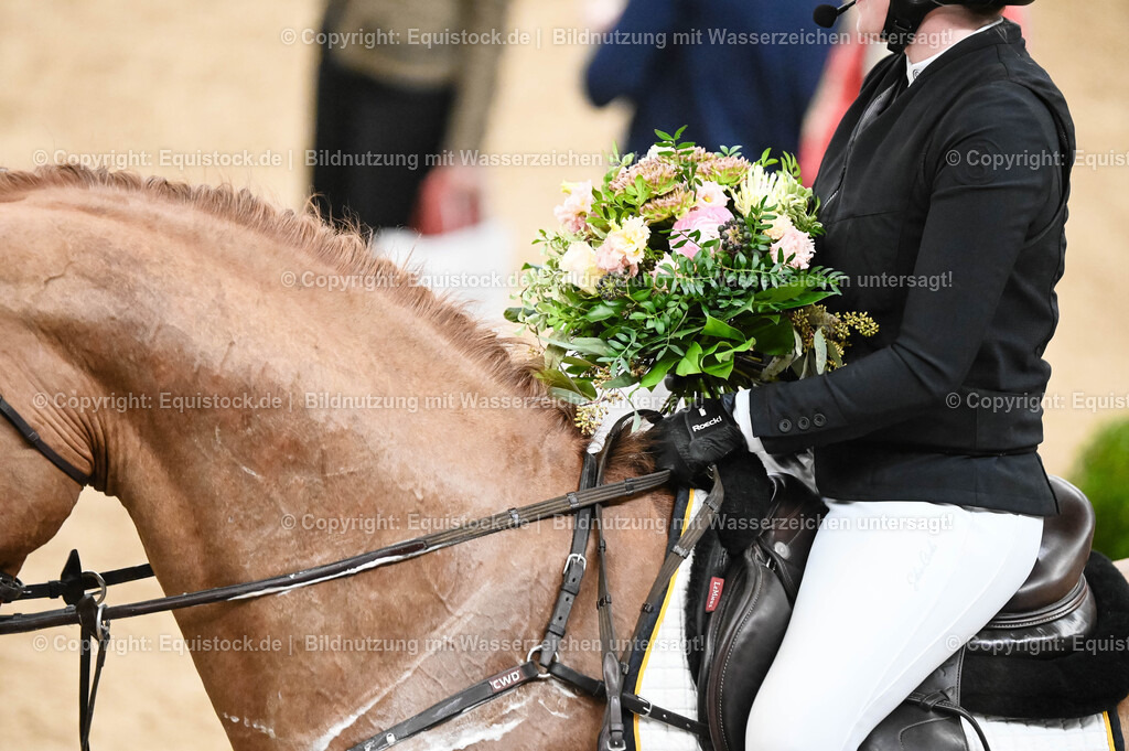 20260307_Hengstvorstellung-Marbach_0168 | equistock