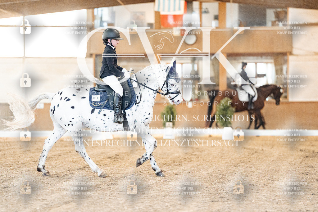 CK906412 | Turnierfotografie Pferdefotografie Trier Rheinland-Pfalz Pferdesport Reitsport Tierfotografie Sportfotografie Pferdevideo Pferdevideografie Equestrianvideography equestrianphotography  - Realized with Pictrs.com