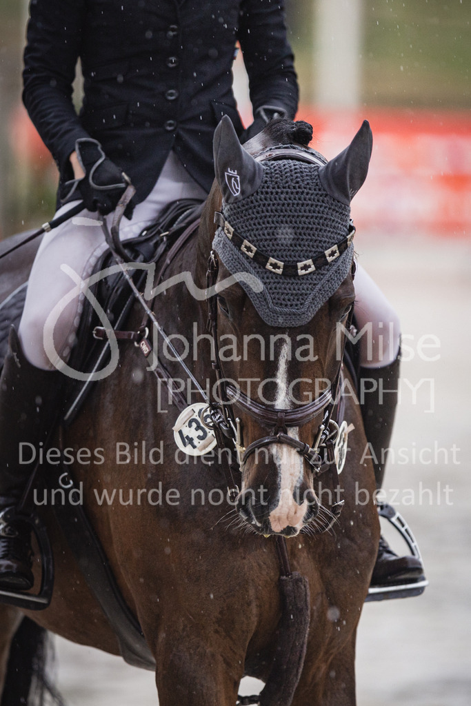 230727_BHO_Stil-L3-457 | Deine schönsten Turniermomente als professionelle Fotos! Entdecke hochwertige Pferdesport-Fotografie im Online-Shop. Jetzt Fotos finden & bestellen!