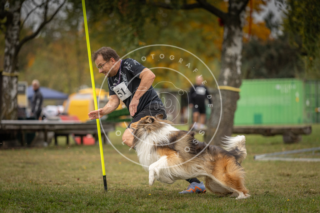 Pfotenfotografie_DV3A6139 | Hundefotografie, Tierfotograf, Pfotenfotografie, Fotoshooting Hund, Hunde Portrait, Hundesport, Hundeportraits, Heideshooting, Hunde, Sportfotograf, Hundefotograf, Turnierhundsport, THS,  - Realisiert mit Pictrs.com