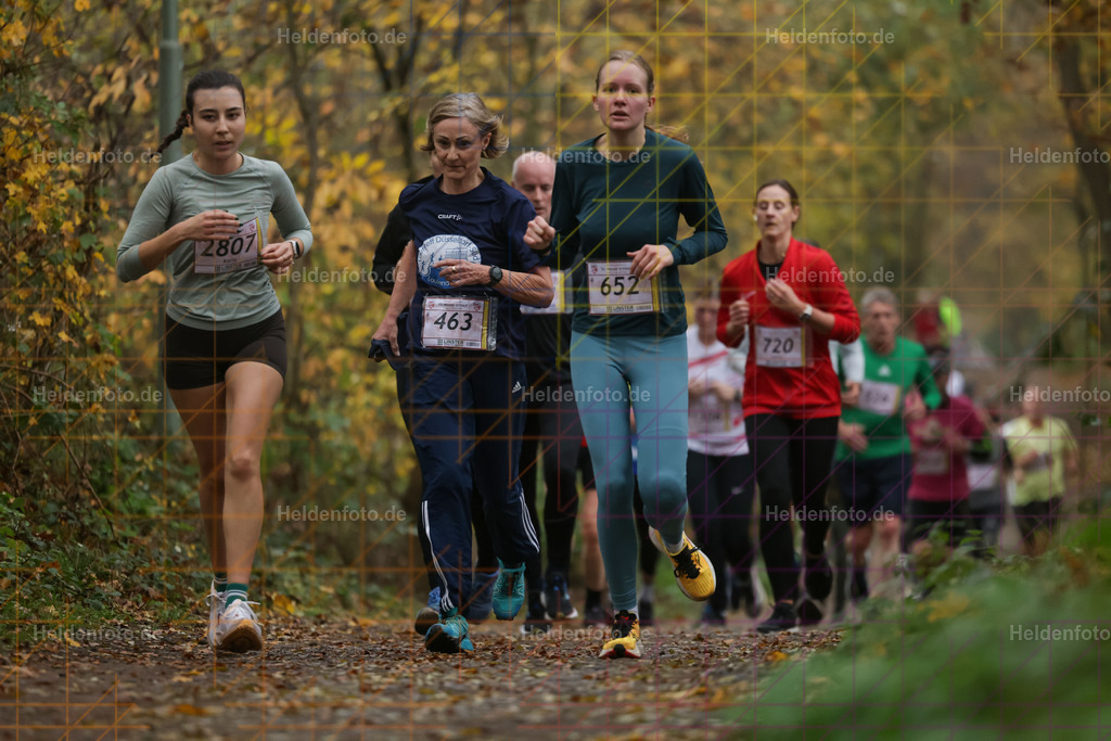 Neusser Erftlauf 2025  | Neusser Erftlauf 2025 Foto: Heldenfoto.de