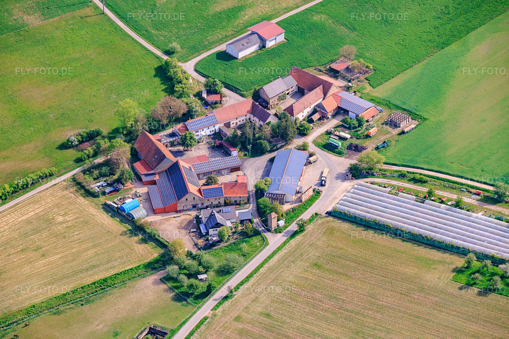 Luftbild: Hof Gut Ruppertzaint naturgemäße Landwirtschaft GmbH & Co. KG im Ortsteil Gänheim in Arnstein im Bundesland Bayern in Deutschland.Foto: IMG_155659.jpg vom 03.05.2026 durch Werner Riehm/FLY-FOTO.deAuflösung des Originals: 6000 x 4000 pxHof Gut Ruppertzaint - Hofladen mit Lieferservice