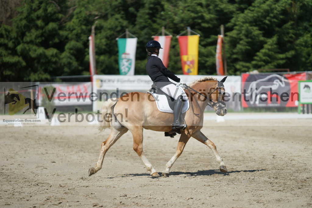 DSC03012 | equestrian-live-com