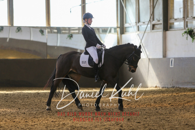 IMG_2545 | Turniersportfotografie; Pferdefotografie; Dressurfotografie