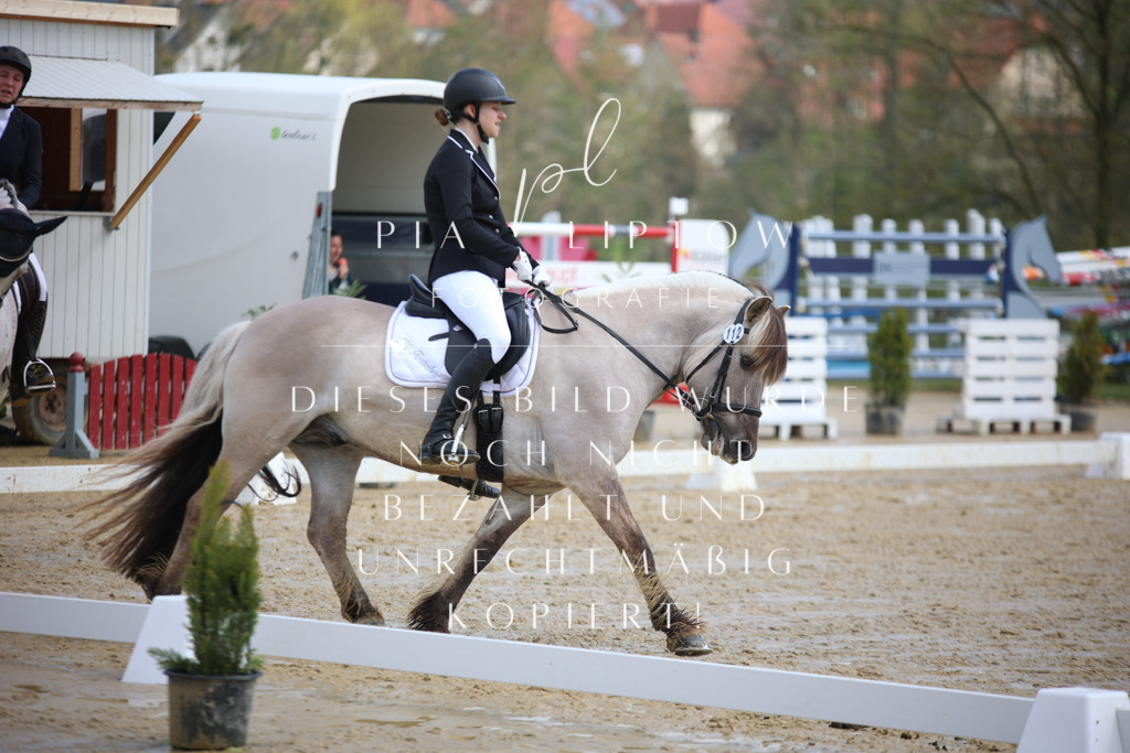 IMGT3345 | pl-fotografie