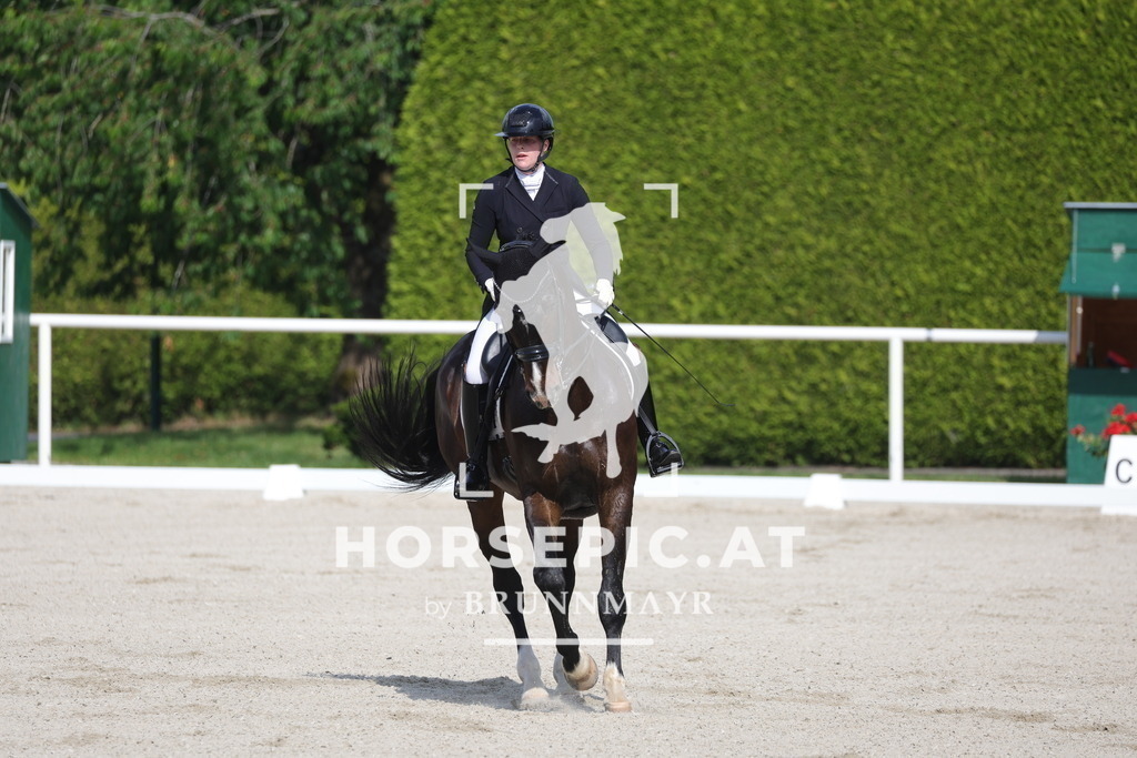 0P6A6737 | Willkommen bei Brunnmayr - Design & Fotografie – Ihrem Spezialisten für Reitturniere und Pferdeveranstaltungen in Oberösterreich, Salzburg und Bayern! Seit über 17 Jahren sind wir leidenschaftlich dabei.