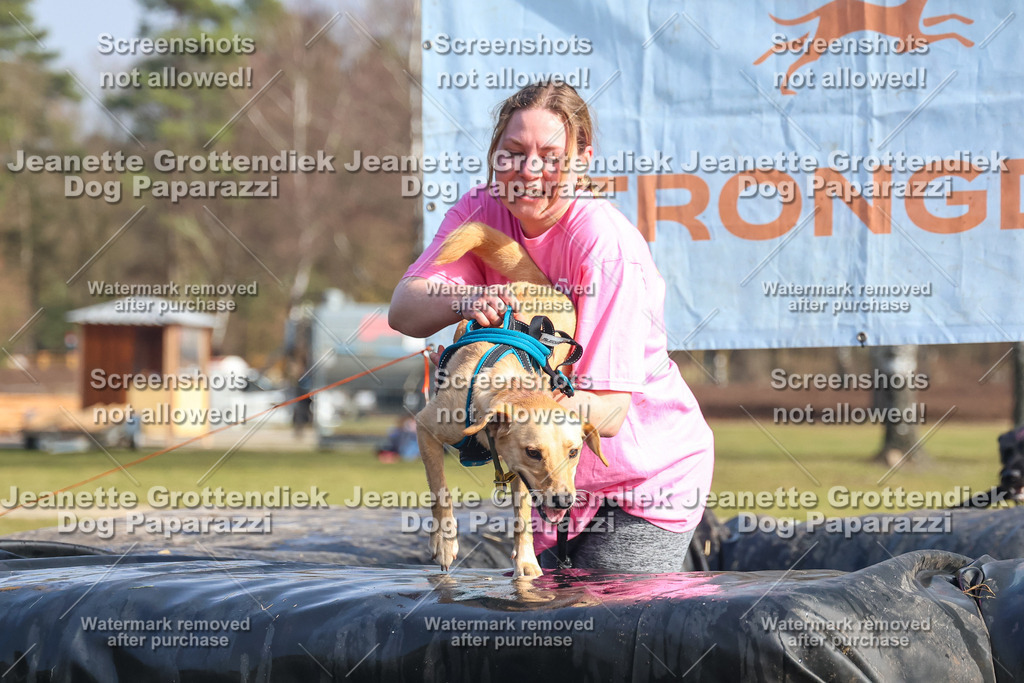 Dog Paparazzi - Strongdog North Mrz26-2367 | Dog Paparazzi Jeanette Grottendiek Fotografie & Videografie - Realisiert mit Pictrs.com