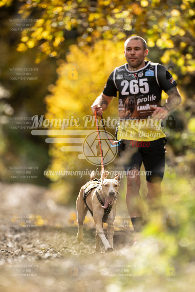 MompixPhotography_ICF_WC_2024_SA_Run_-78 | PayLife