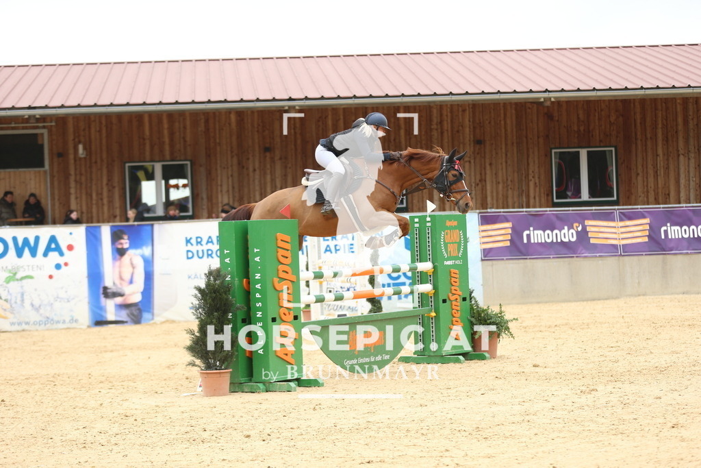 DL2Q5733 | Willkommen bei Brunnmayr - Design & Fotografie – Ihrem Spezialisten für Reitturniere und Pferdeveranstaltungen in Oberösterreich, Salzburg und Bayern! Seit über 17 Jahren sind wir leidenschaftlich dabei.