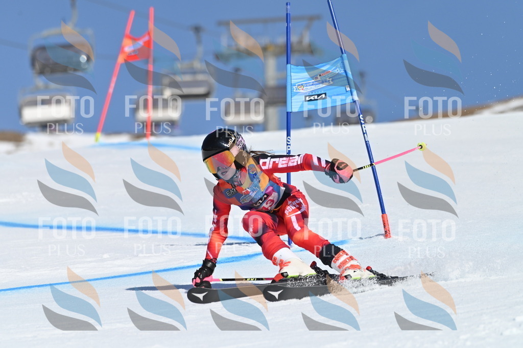 BGV_8415 | holidayphoto