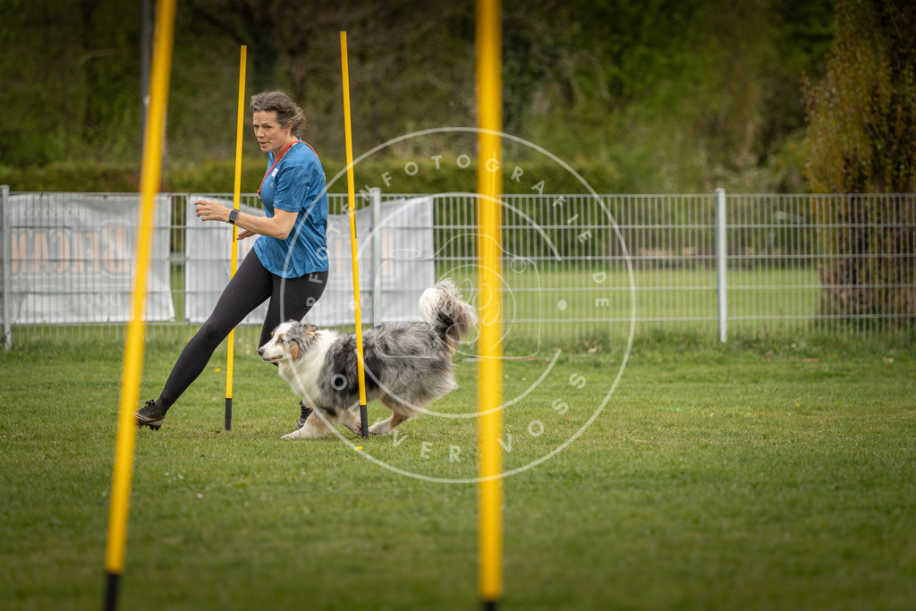 Pfotenfotografie_DV3A7859 | Hundefotografie, Tierfotograf, Pfotenfotografie, Fotoshooting Hund, Hunde Portrait, Hundesport, Hundeportraits, Heideshooting, Hunde, Sportfotograf, Hundefotograf, Turnierhundsport, THS,  - Realisiert mit Pictrs.com