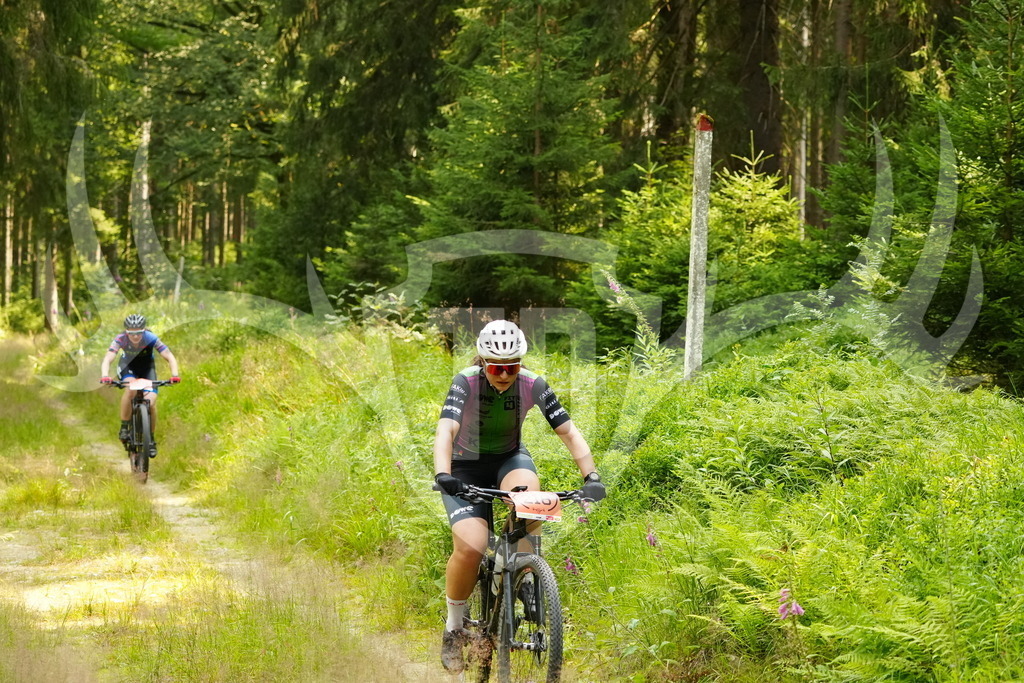 FC103163 | Fotogalerie der Treibjagd im Dunkelwald - Dein MTB Etappenrennen im Erzgebirge - Realisiert mit Pictrs.com