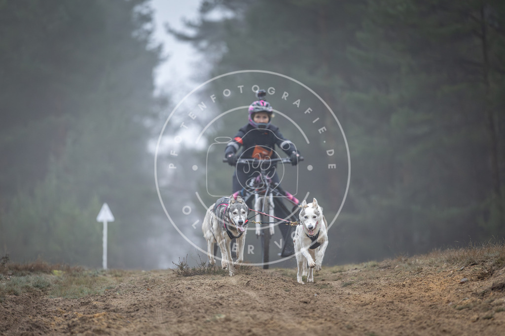 Pfotenfotografie_DV3A0613 | Hundefotografie, Tierfotograf, Pfotenfotografie, Fotoshooting Hund, Hunde Portrait, Hundesport, Hundeportraits, Heideshooting, Hunde, Sportfotograf, Hundefotograf, Turnierhundsport, THS,  - Realisiert mit Pictrs.com