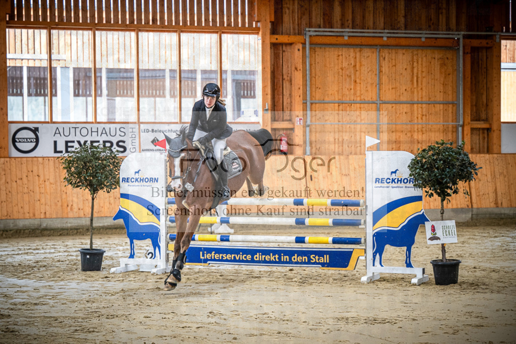 DOS_0241 | Entdecke hochwertige Reitturnierfotos von Foto Oger. Professionell, emotional und authentisch – jetzt Lieblingsmomente im Shop bestellen.Deutschlandweite Turnierfotografie. - Realisiert mit Pictrs.com