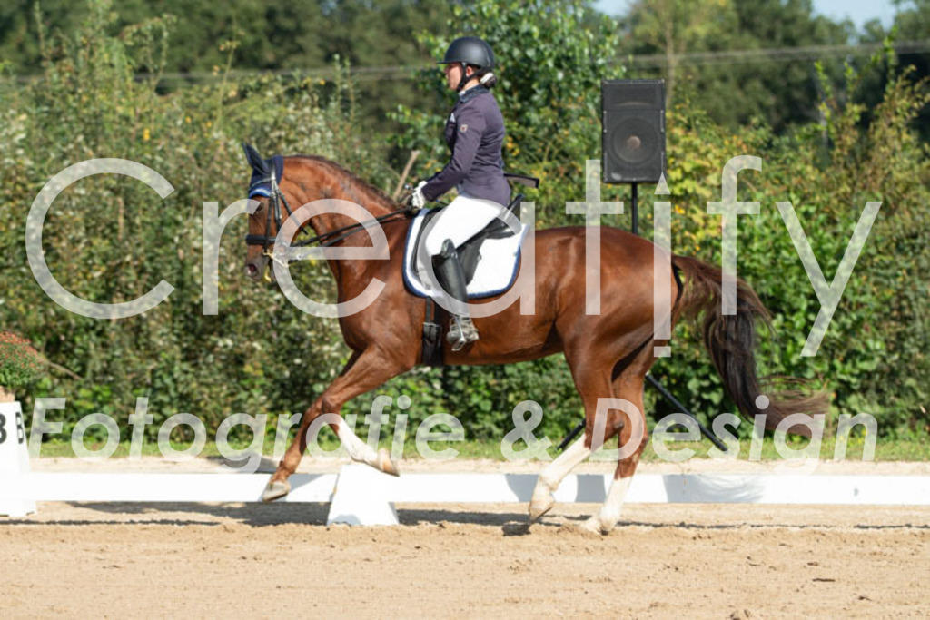 IMG_0587 | Creatify Fotografie