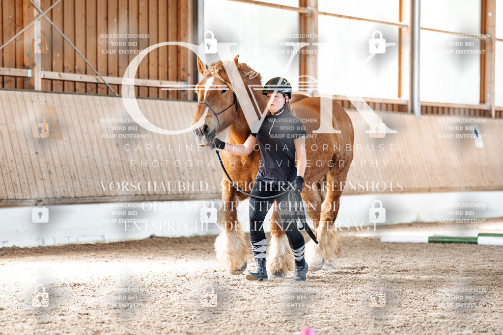 CK906330 | Turnierfotografie Pferdefotografie Trier Rheinland-Pfalz Pferdesport Reitsport Tierfotografie Sportfotografie Pferdevideo Pferdevideografie Equestrianvideography equestrianphotography  - Realisiert mit Pictrs.com
