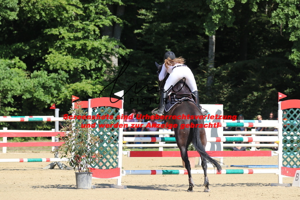 IMG_3082 | lmwpictures - Realisiert mit Pictrs.com