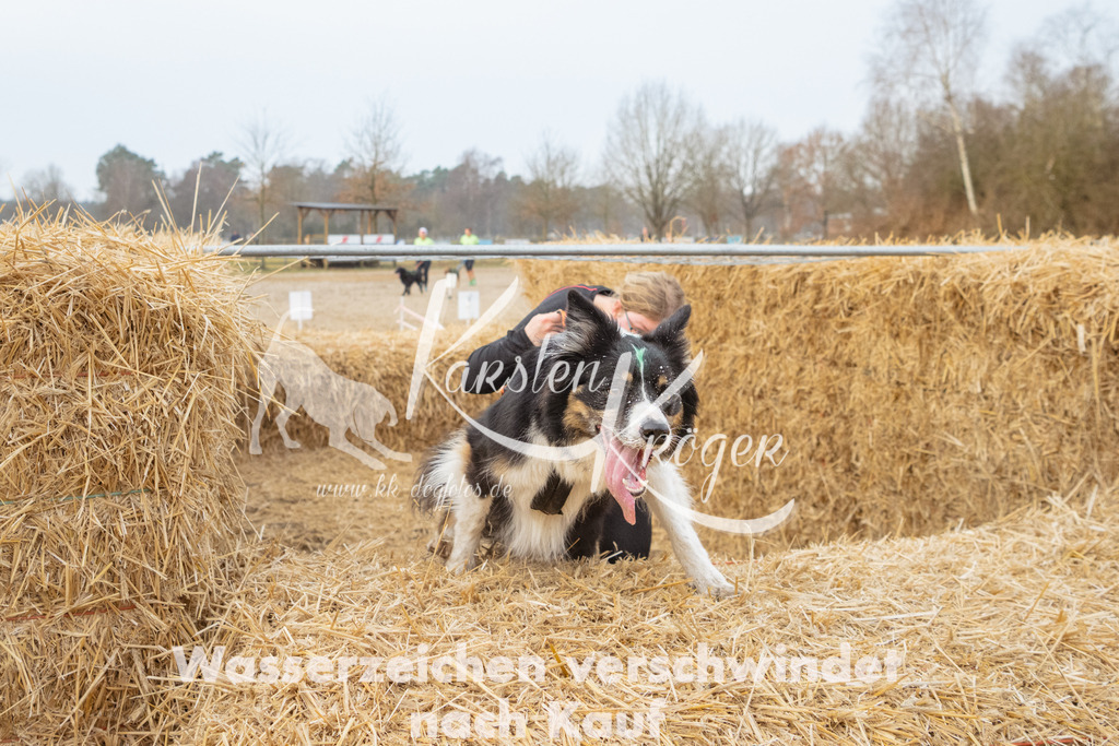 0849_ZZ94928 | kk-dogfotos