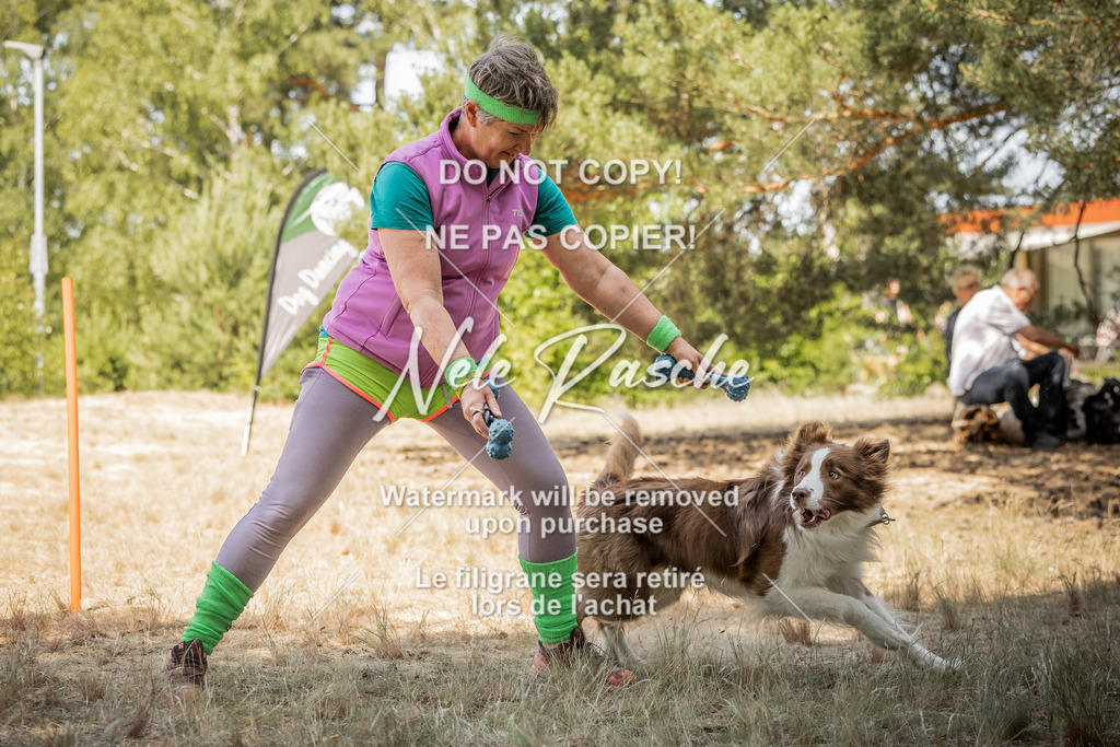 nelerasche_soDD3_171 | nelerasche