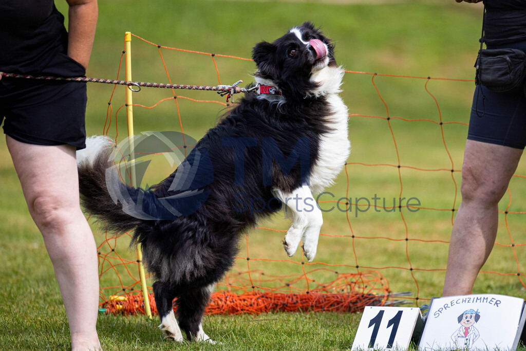 TP-20240815-0103 | Copyright: Trainproduction / Matthias Trinkl