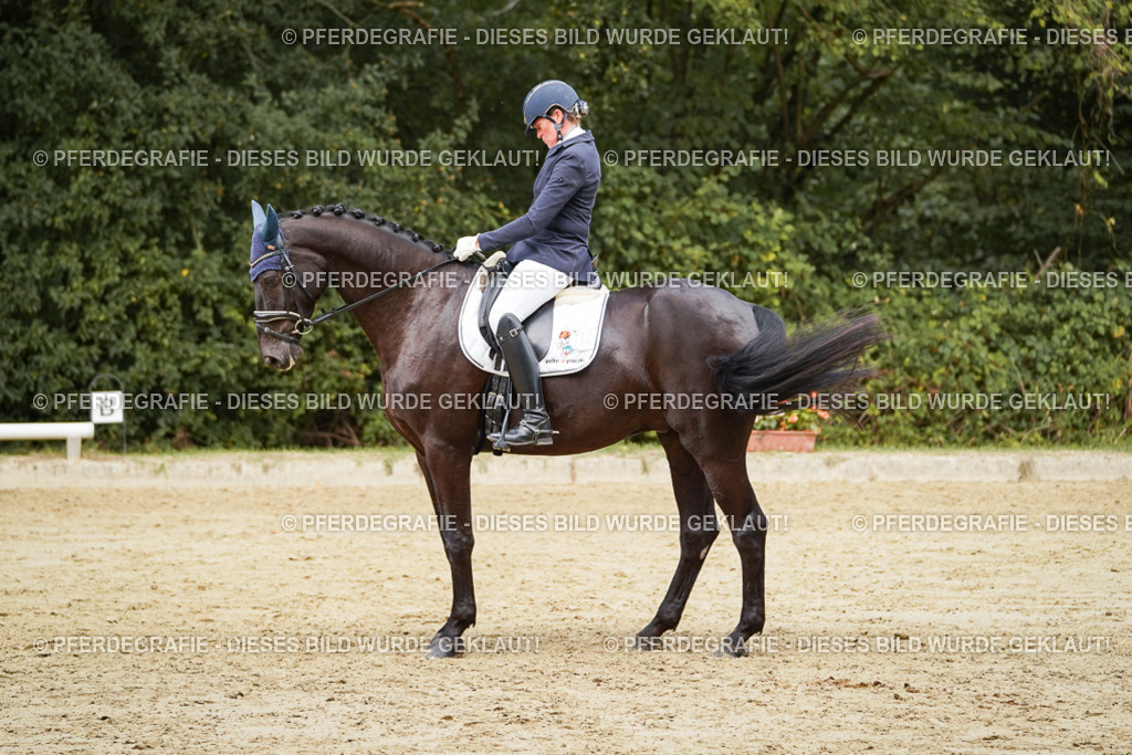 DSC01184 | Pferdegrafie