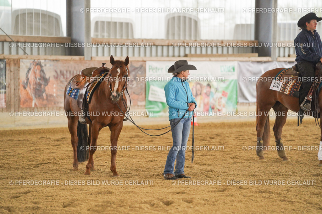 DSC00229 | Pferdegrafie