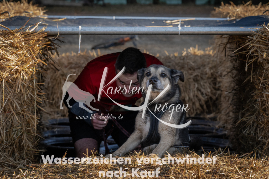 0940_ZZ94175 | kk-dogfotos