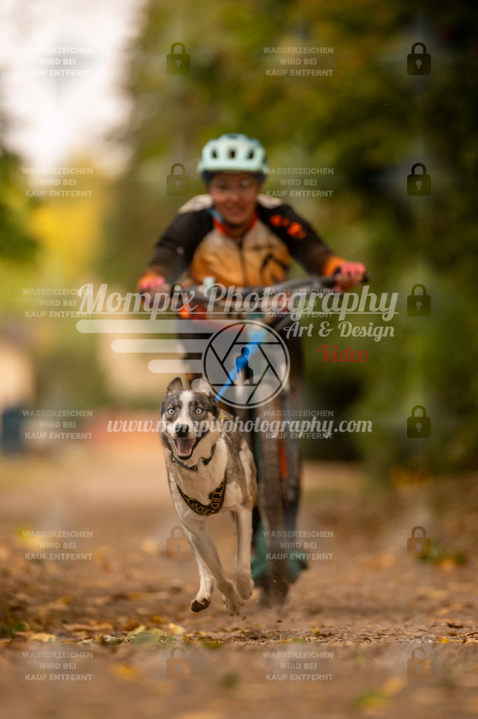 CDLBDB_14_10_2023_Samedi-168 | PayLife
