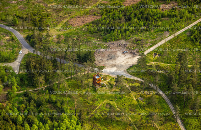 Kreuztal240502468Grubenfeld-Littfeld-Kindelsberg | Luftbild, Waldgebiet mit Waldschäden, Grubenfeld Grubengelände Littfeld Kindelsberg, Altenbergturm Bergbauwüstung archäologische Ausgrabungsstätte, Aussichtsturm, Burgholdinghausen, Kreuztal, Nordrhein-Westfalen, Deutschland