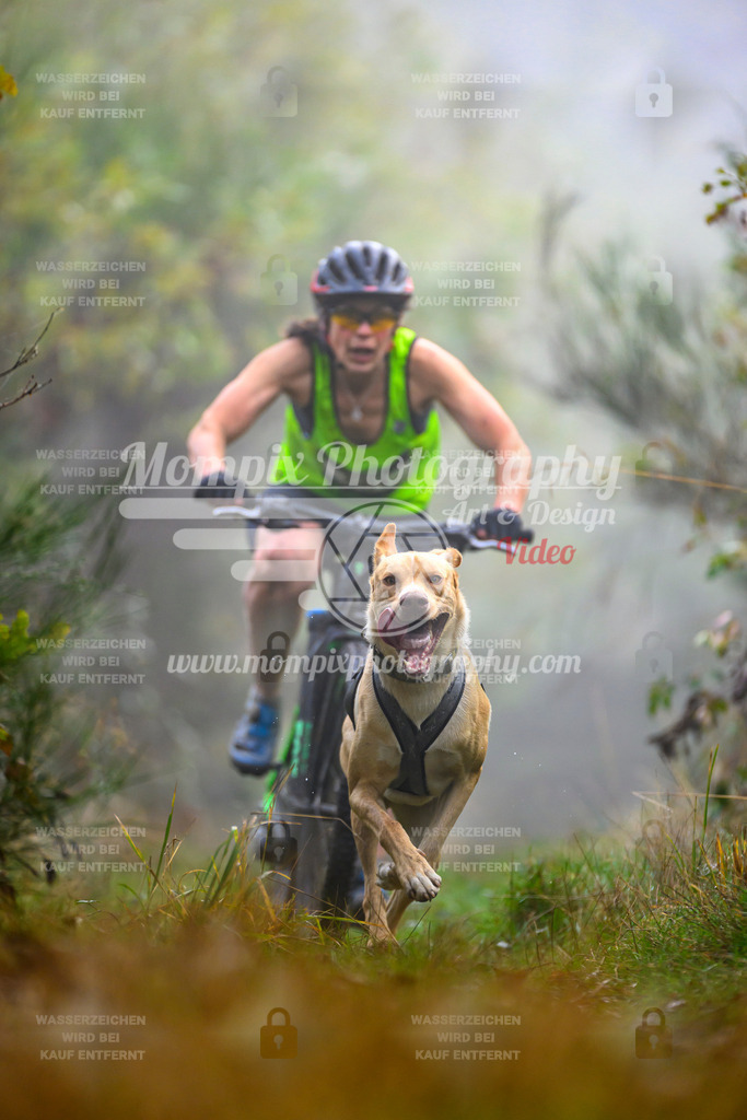 MompixPhotography_20TSB_E4_Bike-63 | PayLife
