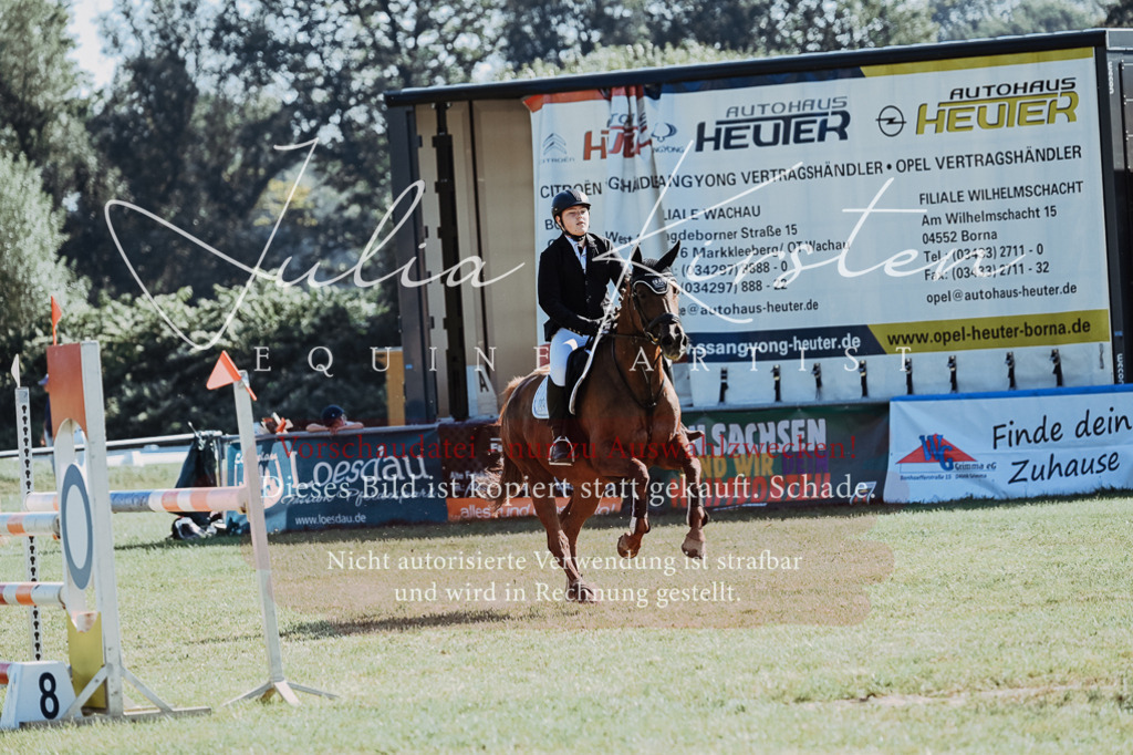 DSC_5455 | Pferde- und Turnierfotografie in Westsachsen. Pferdeportraits, Auftragszeichnungen und intuitive Kunst.