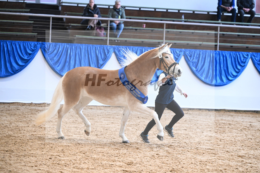 Bl. Band Kat-Nr. 5 Lady Cool v. Wetterstein_Gossner_48251572 | hf-fotografie - Realisiert mit Pictrs.com