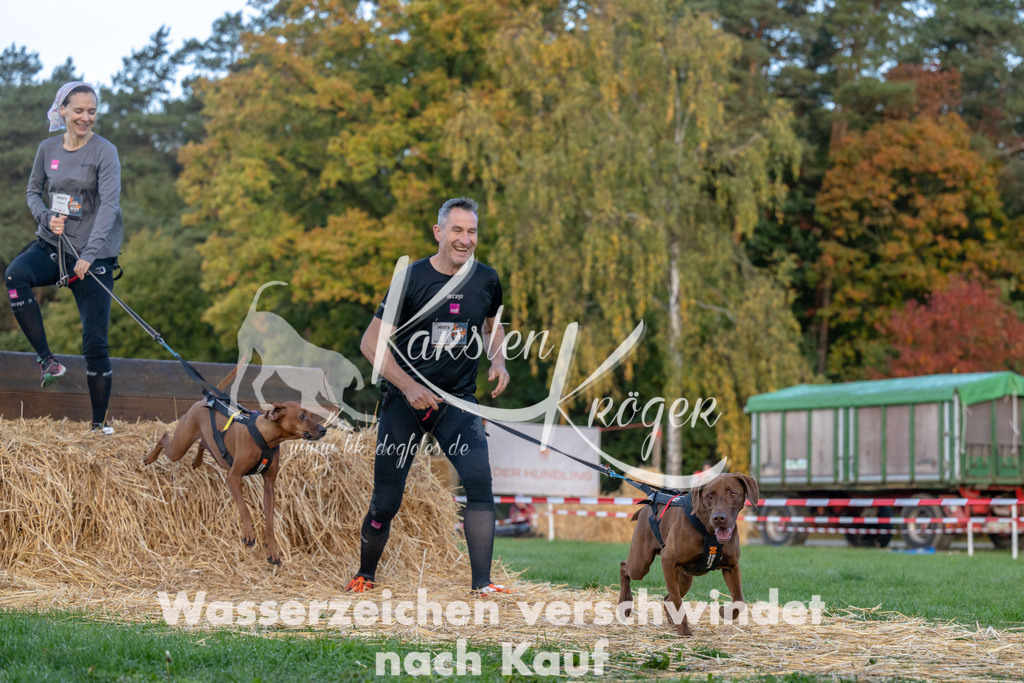 0856_ZZ91813 | kk-dogfotos