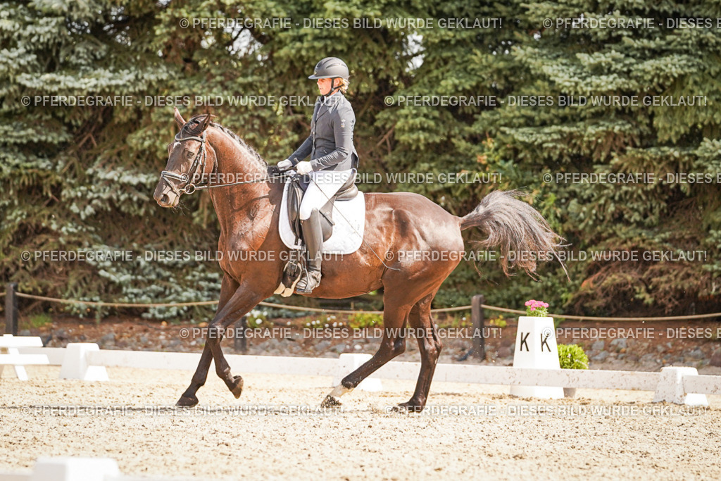 DSC01166 | Pferdegrafie