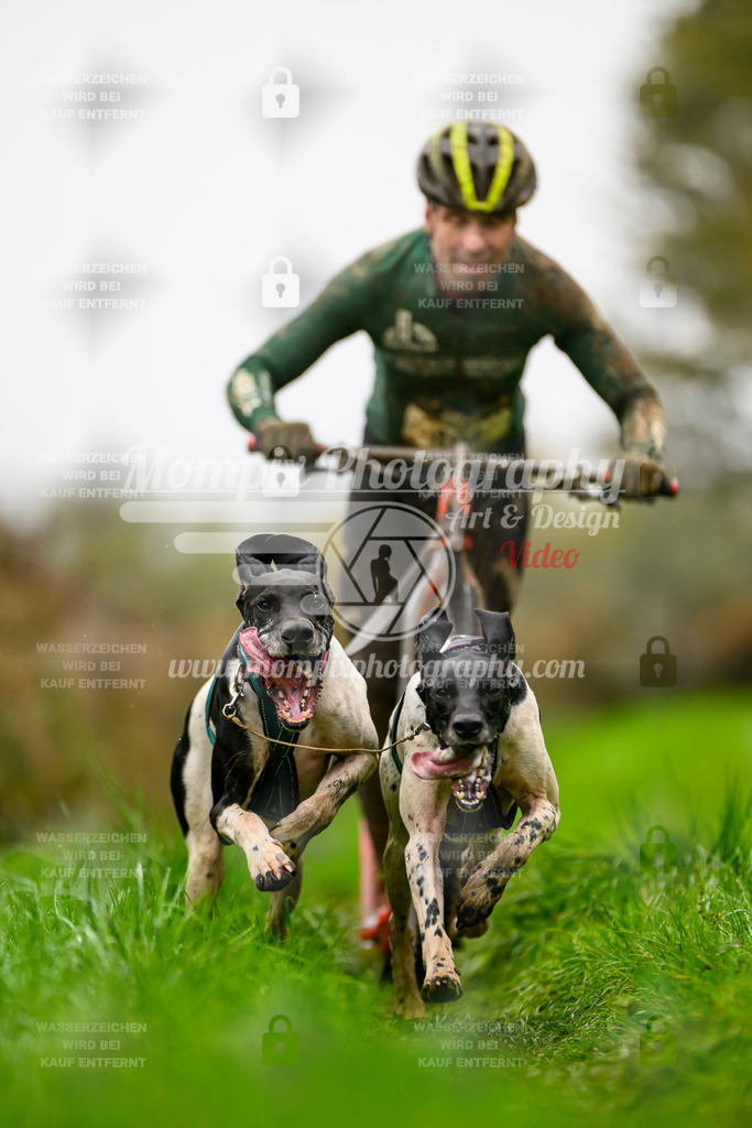 MompixPhotography_20TSB_E8_DS2-8 | PayLife