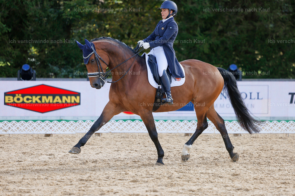 09_2-169-DRESSUR  S_  -StoibPH-5750 | working equitationturnier fotograf videograf stoibphotography marixx film working equitation deutschland reitsport turnierfotografie eventfotografie equestrian events