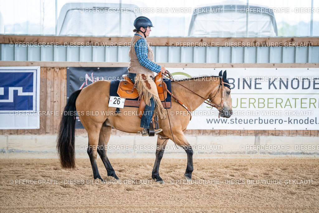 DSC08260 | Pferdegrafie