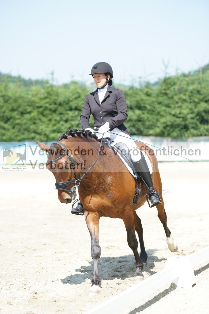 DSC01679 | equestrian-live-com