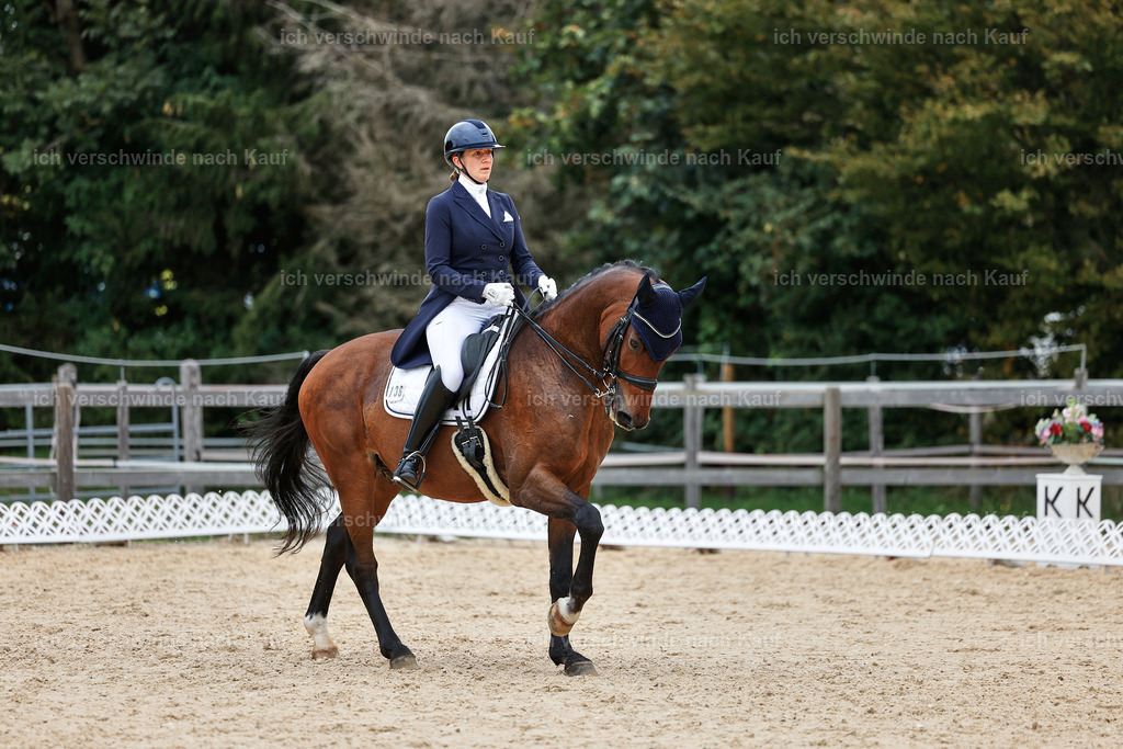 11-036-Dressur S___-StoibPH-1425 | working equitationturnier fotograf videograf stoibphotography marixx film working equitation deutschland reitsport turnierfotografie eventfotografie equestrian events