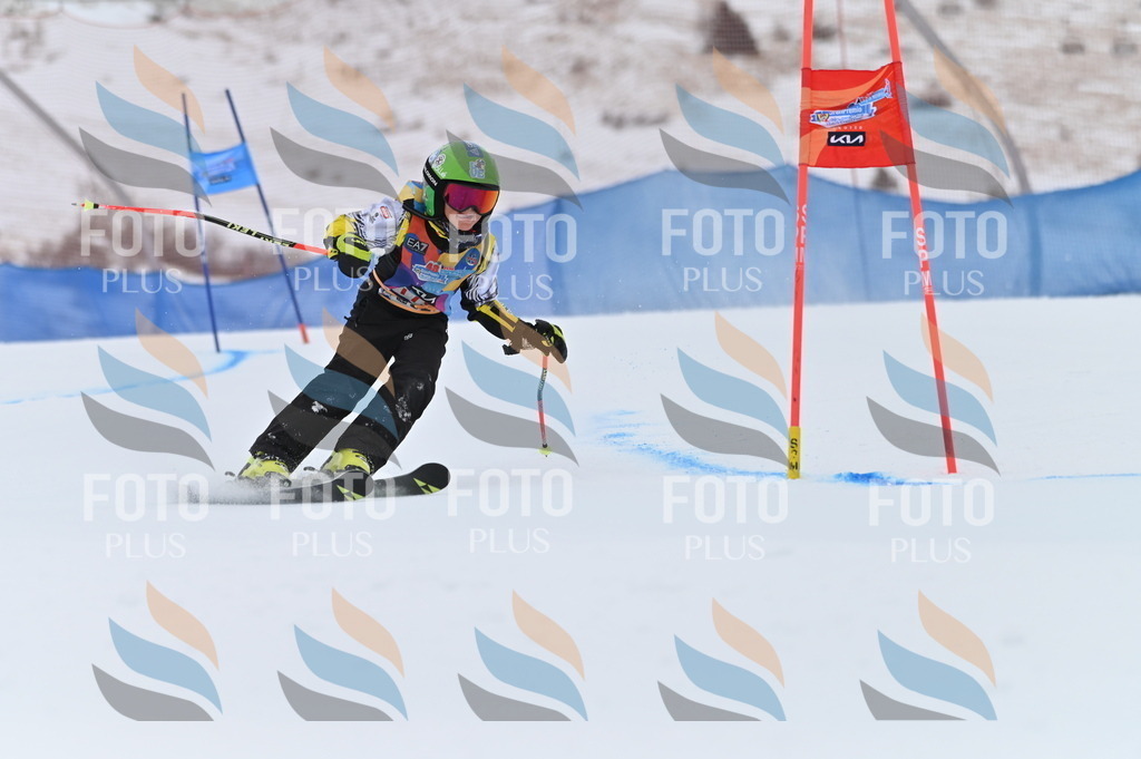 BGV_0585 | holidayphoto