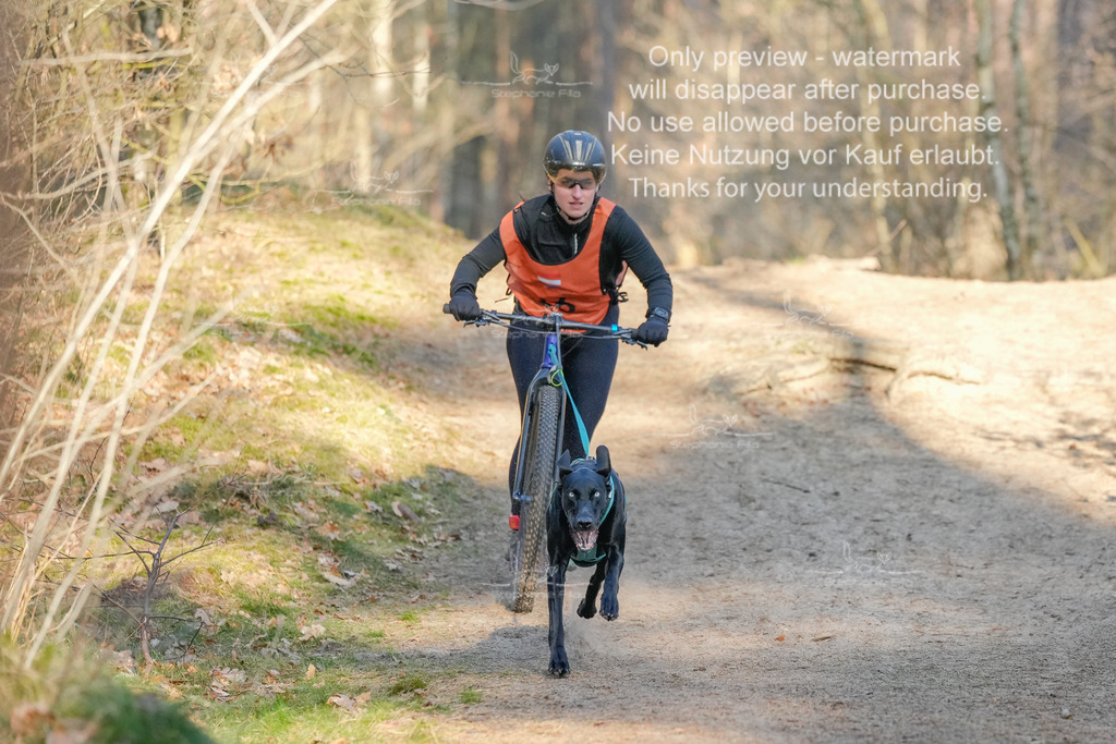 Sa_Scooter-80 | stephaniefillaphotographie - Realisiert mit Pictrs.com