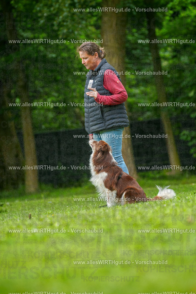 @allesWIRTHgut_Tierfotografie - www.allesWIRTHgut.de - 7R501421 | Professionelle Tierfotografie in Mönchengladbach von Daniel Wirth (allesWIRTHgut). Liebevolle & natürliche Bilder von Hunden & Katzen für unvergessliche Erinnerungen.