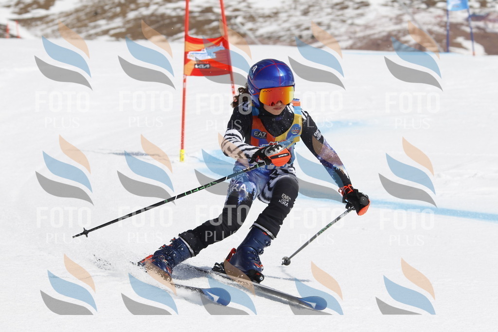 _U3G1644 | holidayphoto