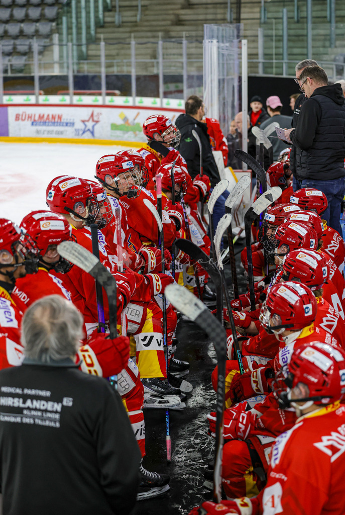 EHCB vs HCD-0439 | Sportbilder, Sportfotograf, Hochzeits- und Eventfotografin, Flugshows, Portraits und Tiershooting, Aviation, Downhill, Nationalleague, Swissleague, International