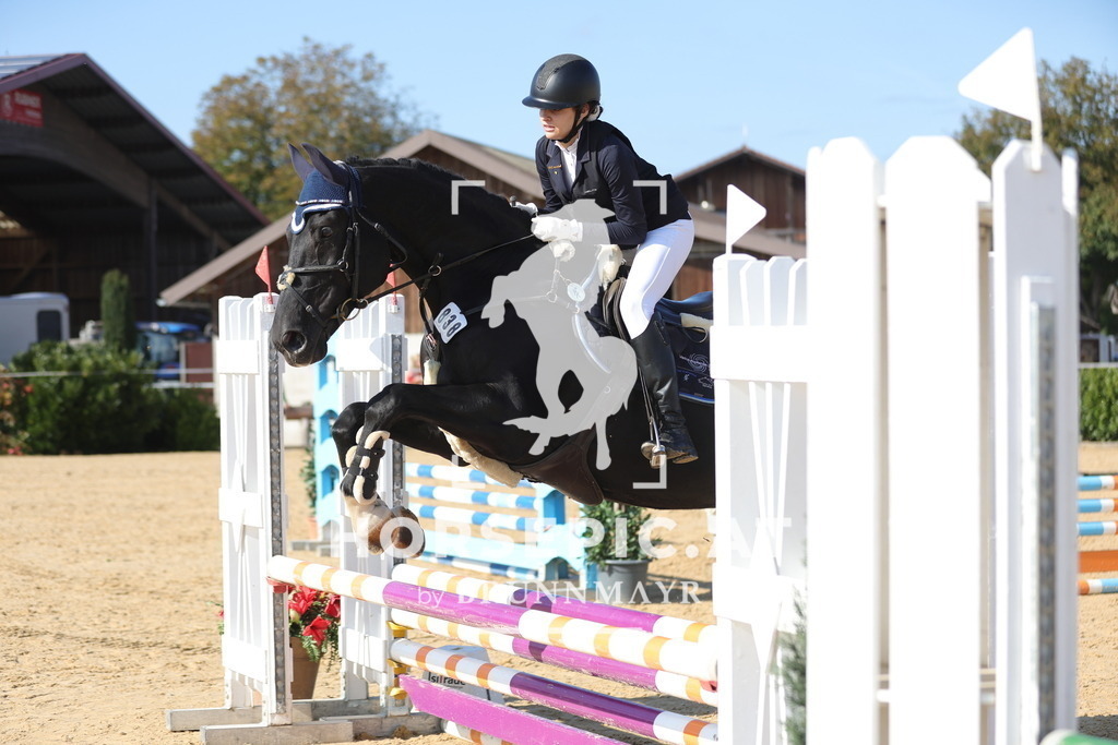 0P6A8042 | Willkommen bei Brunnmayr - Design & Fotografie – Ihrem Spezialisten für Reitturniere und Pferdeveranstaltungen in Oberösterreich, Salzburg und Bayern! Seit über 17 Jahren sind wir leidenschaftlich dabei.