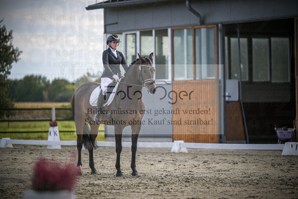 DOS_1579 | Entdecke hochwertige Reitturnierfotos von Foto Oger. Professionell, emotional und authentisch – jetzt Lieblingsmomente im Shop bestellen.Deutschlandweite Turnierfotografie. - Realisiert mit Pictrs.com