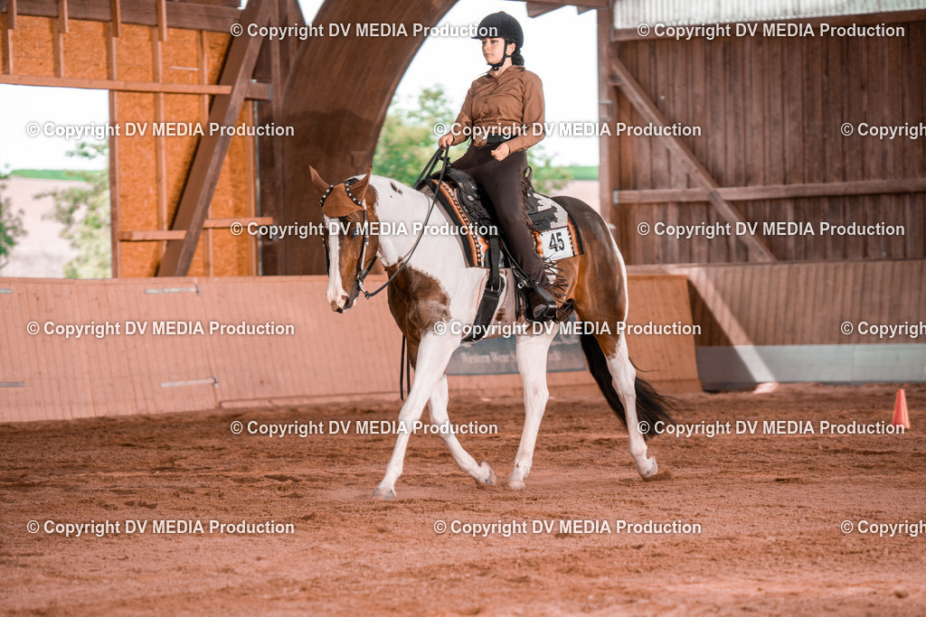 NE200372 | dv-media-shop - Realisiert mit Pictrs.com