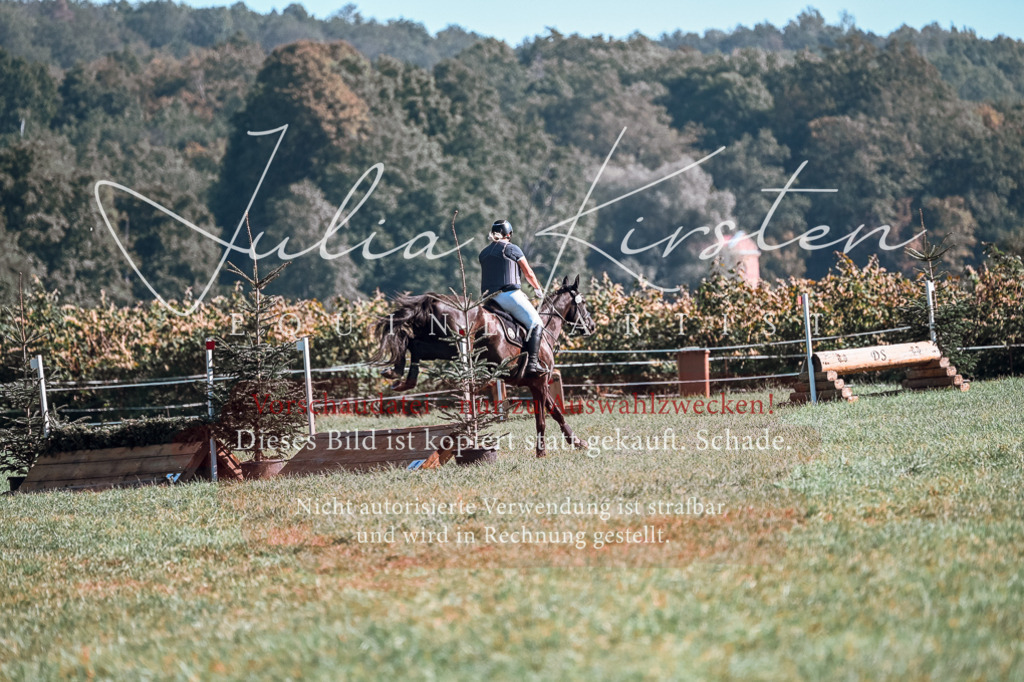 DSC_0587 | Pferde- und Turnierfotografie in Westsachsen. Pferdeportraits, Auftragszeichnungen und intuitive Kunst.